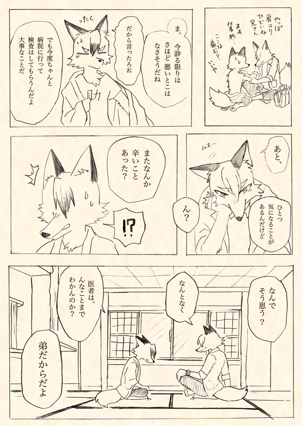 vol13-11